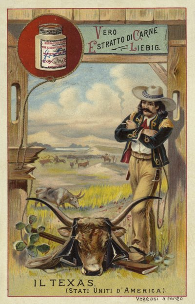 Texas de European School